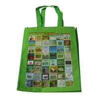 盐城LB11覆膜无纺布广告袋